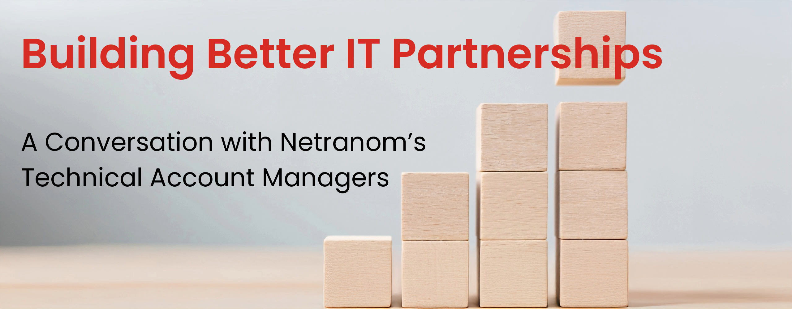 Building Better IT Partnerships A Conversation with Netranom’s Technical Account Managers